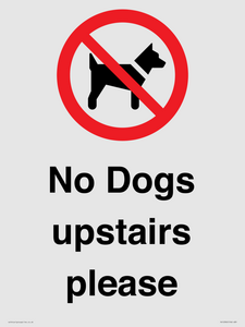 No Dogs upstairs please 